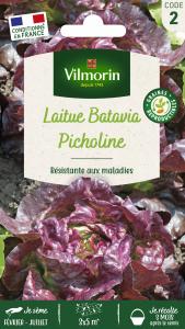 Laitue Picholine